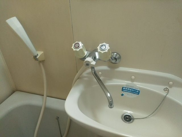 メゾンアランテBの洗面所