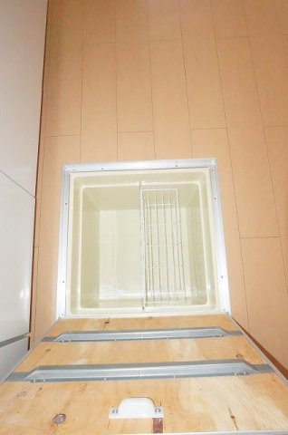 プリムローズのその他