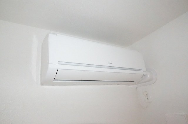 プリムローズのその他