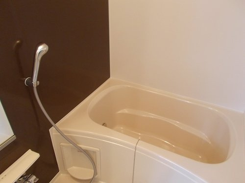 フェリシア御立の浴室