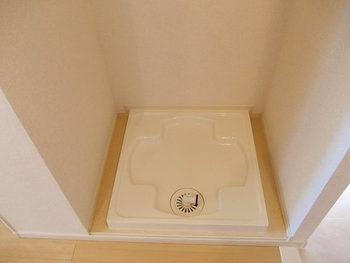 コオリナのその他