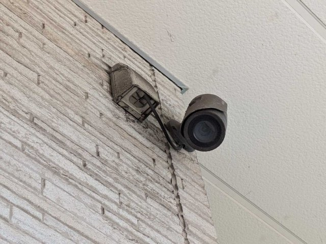 クレイノニジのその他