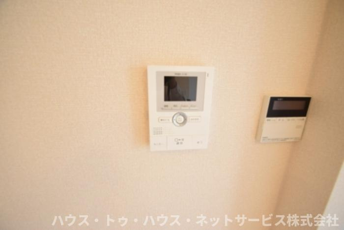 カーネリアンのその他