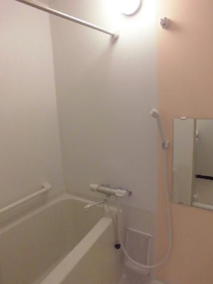 【浴室】 | レオネクスト大塚新町