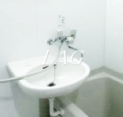 【洗面所】 | ｈｅａｒｔｌａｎｄ | 洗面台です。