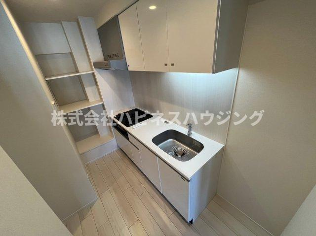 ART RESIDENCE IN KASHIWA-no-HA～アートレジデンスインカシワノハ～のキッチン