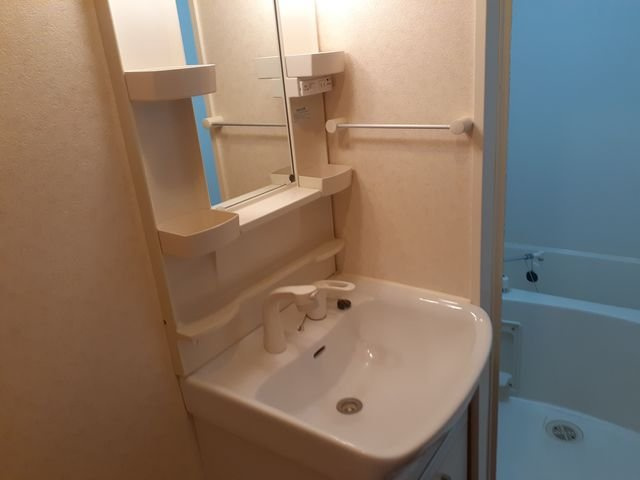 コウジィーコートⅡの洗面所