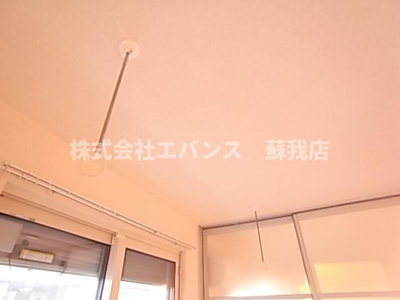  | ピーノフォーリア Ⅱ