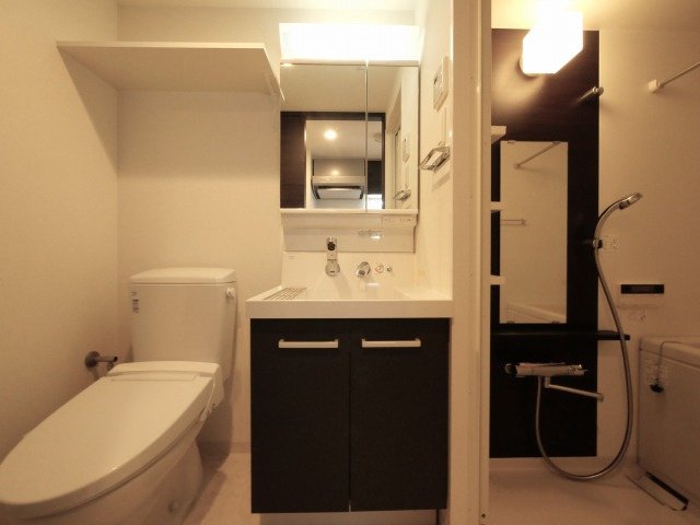 エステムコート難波Ⅳアトリの洗面所