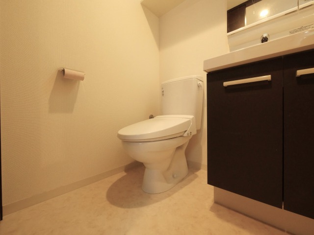 エステムコート難波Ⅳアトリのトイレ