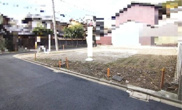 K41348-紫野の画像