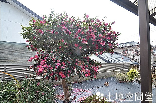 沖田５丁目貸家の庭