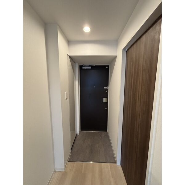 パルティール金山のその他