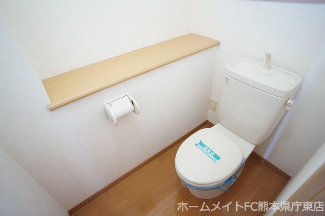 熊本市南区出仲間８丁目の賃貸マンションのトイレ