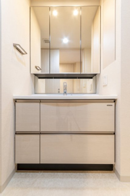 【独立洗面台】 | ザ・レジデンス蒲田アイリスコート