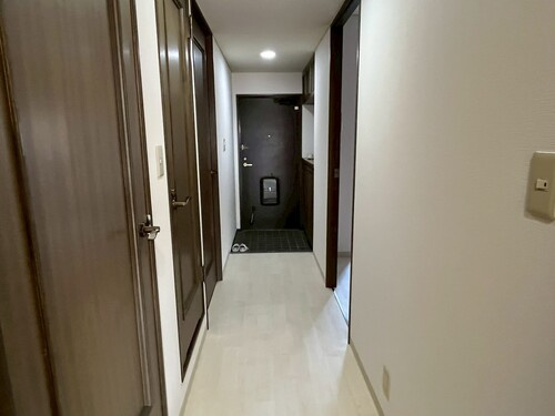 ライオンズヒルズ高知の内装|その他：廊下     （2026年2月撮影）