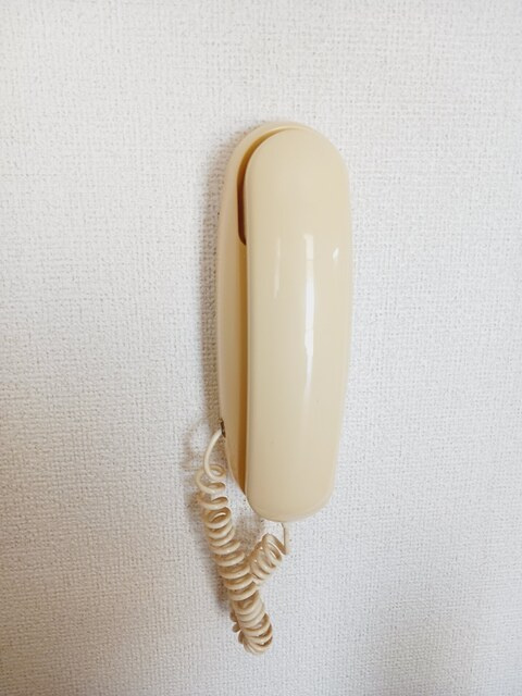 フローラル　Ⅱのセキュリティ|その他設備