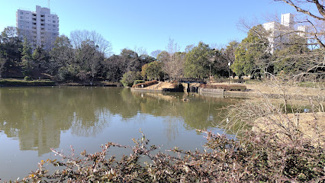 【周辺】 | コスモフォーラム多摩 | 豊ヶ丘南公園の池まで徒歩４分