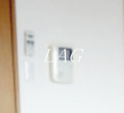 【セキュリティ】 | グレース川崎 | モニター付きインターホンです。