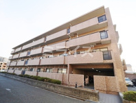 サウスファームの画像