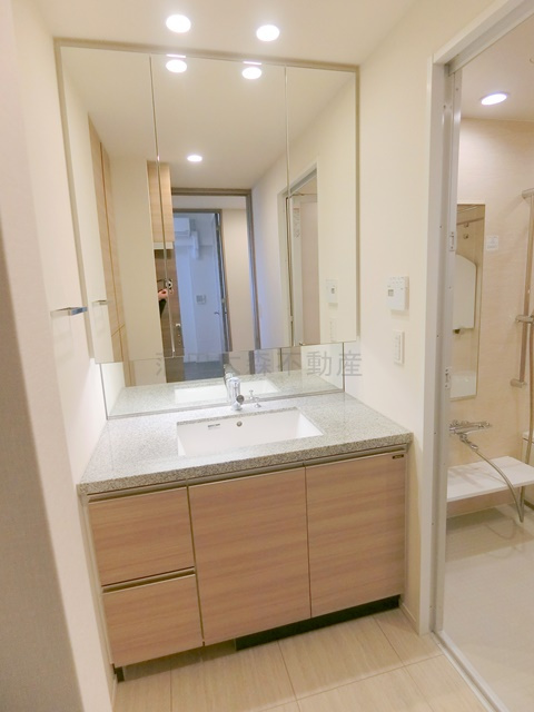 ブランズシティ久が原の洗面所|洗面所　独立洗面台