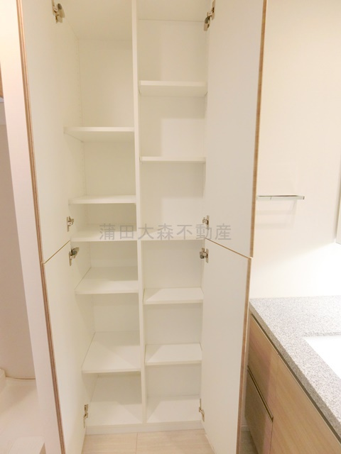 ブランズシティ久が原の収納|洗面所収納