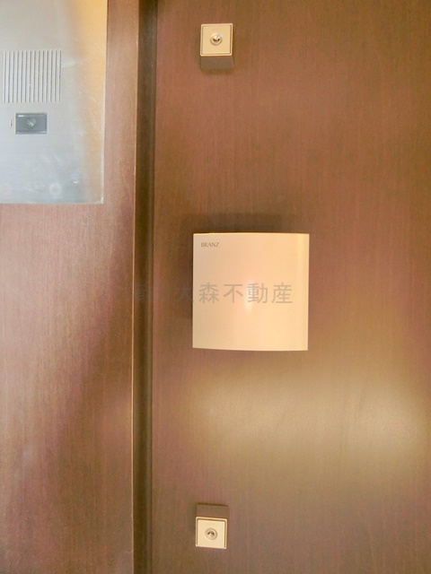 ブランズシティ久が原の玄関