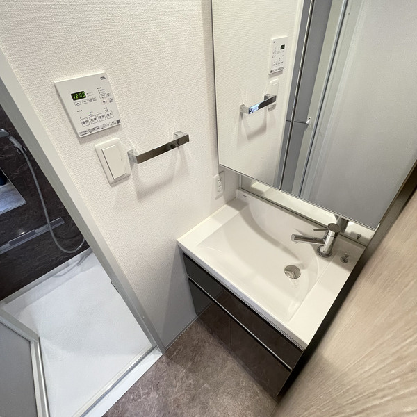 フロントコート錦糸町の洗面所