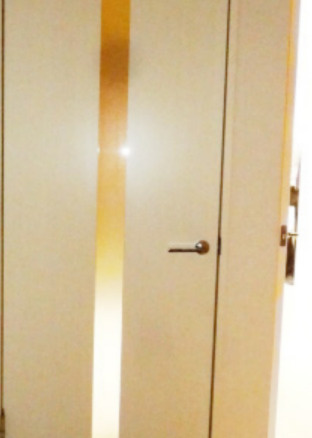 SSハイツ関町東の内装|ドア（同一仕様写真）