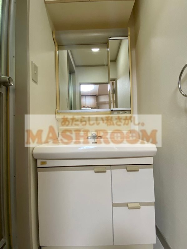 第二佳園ビルの洗面所