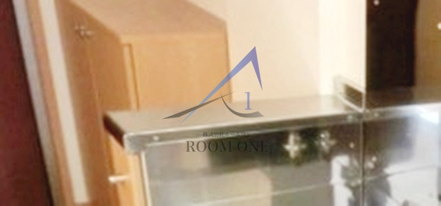 グレイシス東池袋Ａ棟のその他