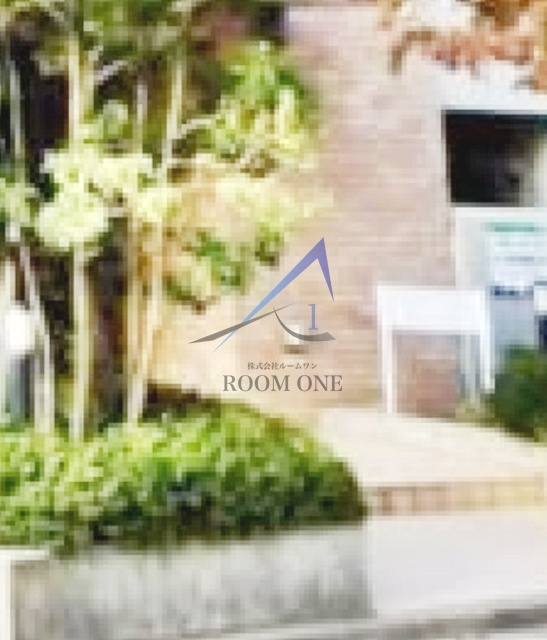 ルモンピエール新大塚のエントランス|エントランスです。