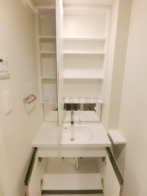 Live Casa千鳥町の洗面所