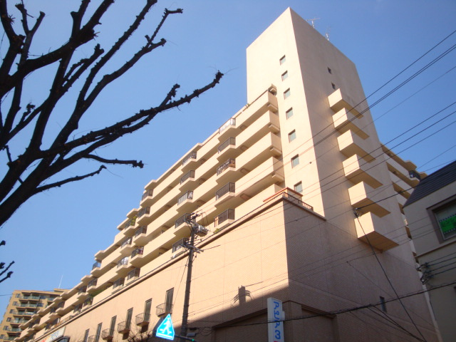 シティハイツ逆瀬川（アピア３）の外観