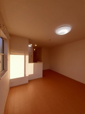 【その他】 | サニー