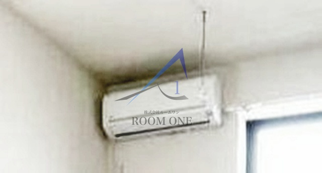 ステラフィールズⅡのその他