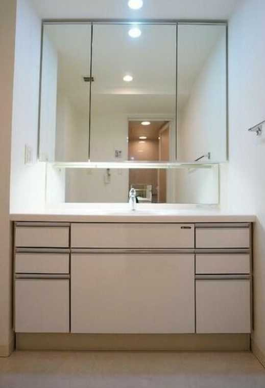 プロスペクト渋谷道玄坂　ペット相談　ネット無料　礼金0の洗面所