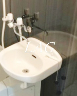 【洗面所】 | Felicita Ⅱ(フェリシタ ツー) | 洗面台です。