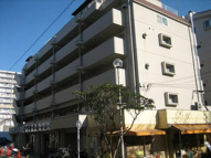 ハイツリヴァ・スターの画像