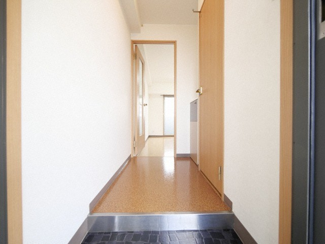 大阪市生野区新今里３丁目の賃貸マンションの玄関