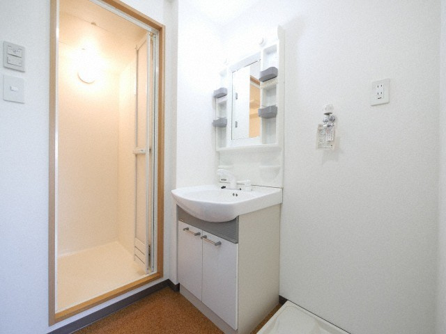 大阪市生野区新今里３丁目の賃貸マンションの洗面所