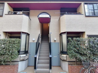 ブラウンコートの画像