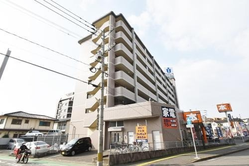福岡市南区向新町２丁目の賃貸マンションの外観|外観写真