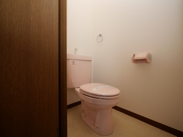 大阪市北区中津５丁目の賃貸マンションのトイレ