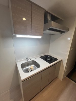 【キッチン】 | MELDIA CREST NAMBA SOL TERRACE | MELDIA CREST NAMBA SOL TERRACE（メルディアクレストナンバソルテラス）　2口ガスシステムキッチン