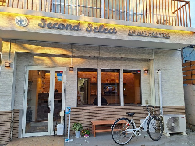 バラーバル石神井公園のその他|動物病院　セカンドセレクト