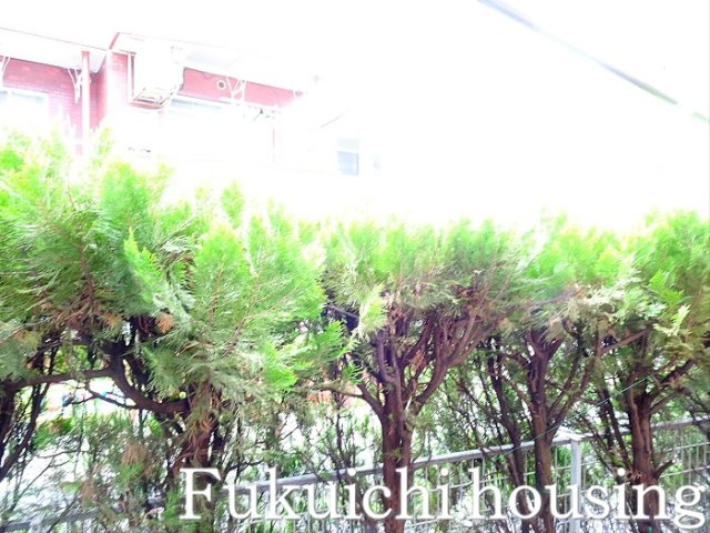 イエスタデイの展望