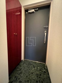 【玄関】 | ジュネーゼグラン南堀江 | ジュネーゼグラン南堀江　玄関スペース