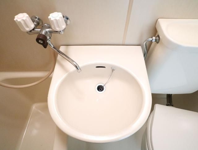 パレス池袋の洗面所