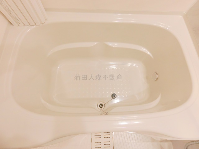 ザ・ライオンズフォーシア蒲田の浴室